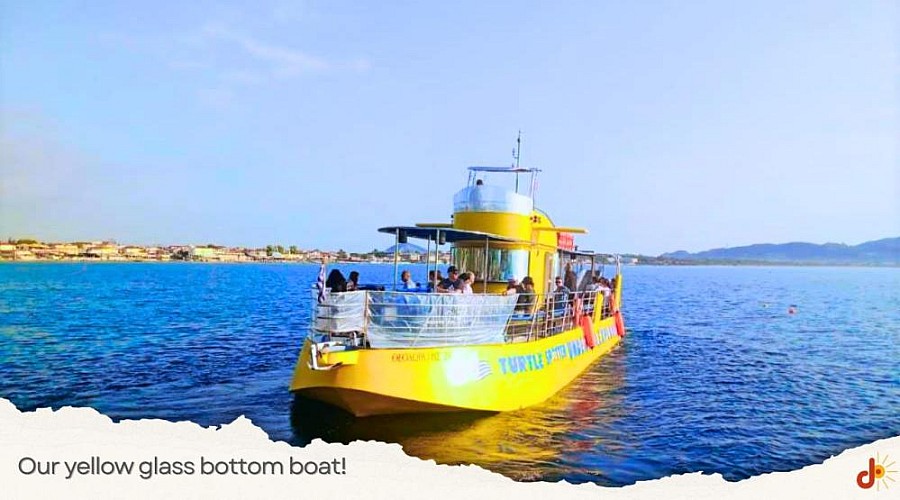 Caretta Turtle Spotting Boat Trip - Including Free Transfer from Laganas / Kalamaki